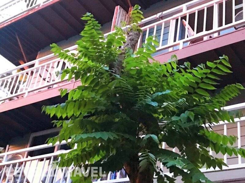 Blue View House Phi Phi — фото 1